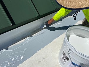 Roof Coating1