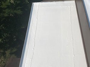 Roof Coating1