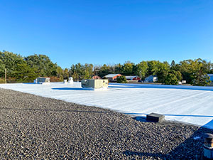 Roof Coating1