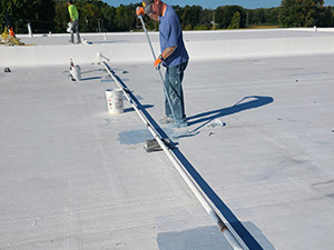 Professional Roof Coating1