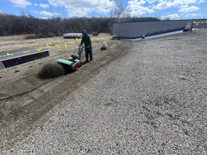 Flat Roof Replacement