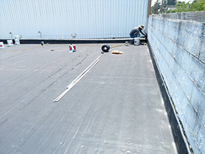 Flat Roof Replacement1