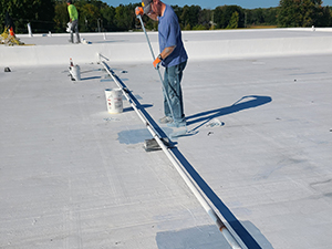 Roof Coating Mackinaw City MI